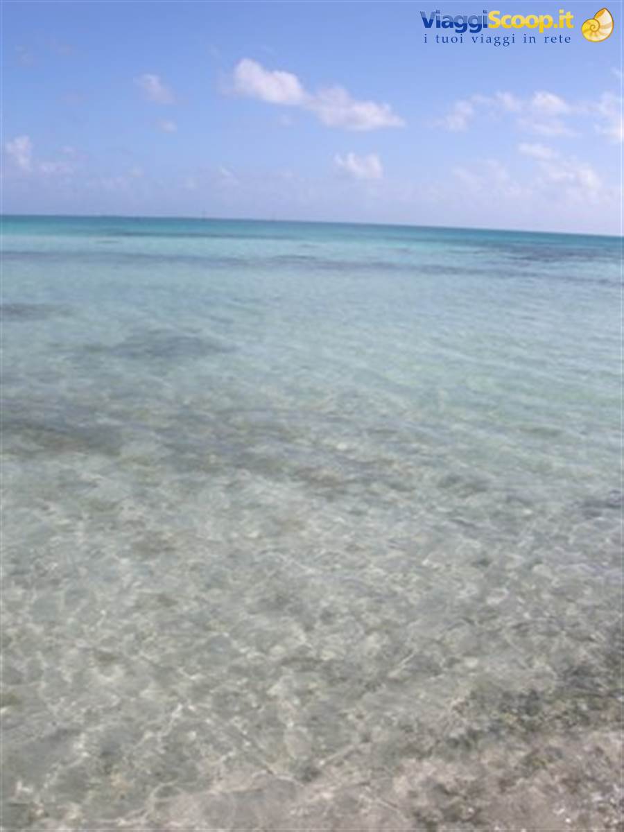 Tikehau