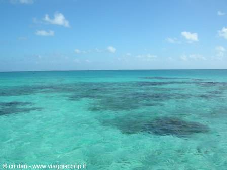 Tikehau