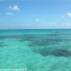 Tikehau POLINESIA FRANCESE 