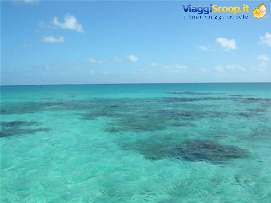 Tikehau