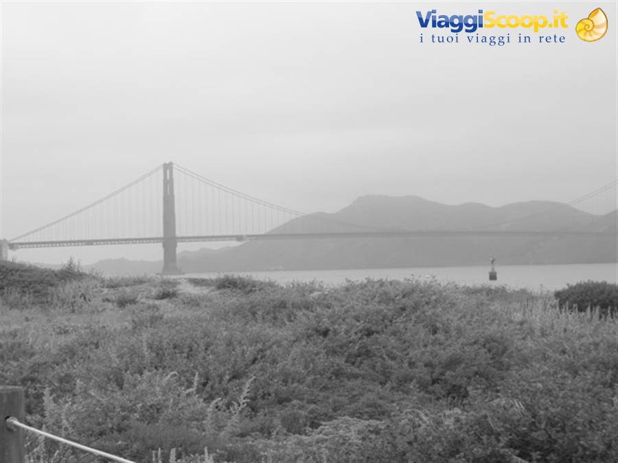 Foto di viaggio in STATI UNITI D'AMERICA