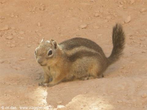 Bryce Canyon