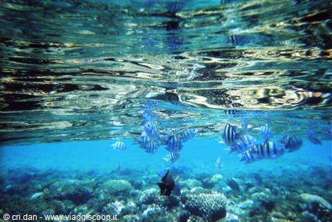Un po' di snorkeling...