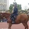 Poliziotto a cavallo  REGNO UNITO 