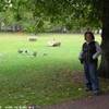 Kensington Gardens REGNO UNITO 
