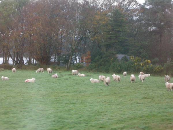 Verso Glendelough