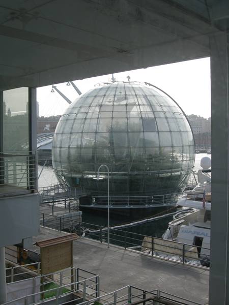Fuori dall'acquario...