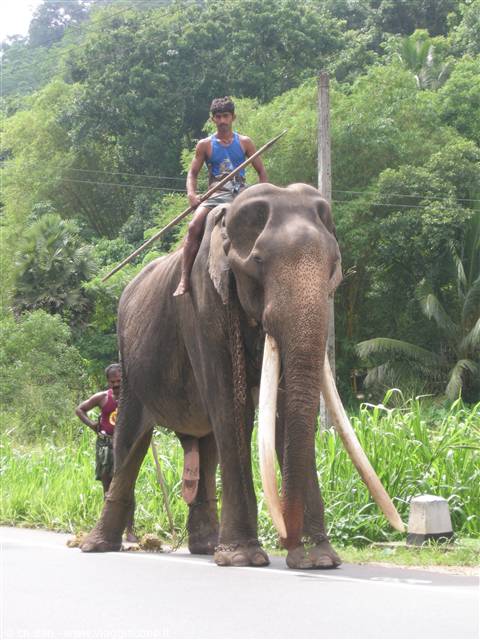 Sri Lanka