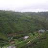 NUWARA ELIYA piantagioni di te SRI LANKA 