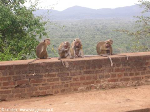 Fortezza di Sigiriya