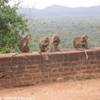 Fortezza di Sigiriya SRI LANKA 