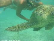 Derawan