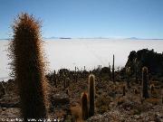 Salar de Uyuni