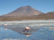 Lagune