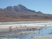 Lagune
