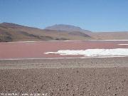 Laguna Colorada