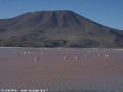 Laguna Colorada