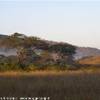 L'alba nella savana SUD AFRICA 