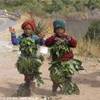 I bambini dello Swaziland SUD AFRICA 