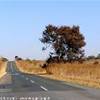 Verso l'aeroporto SUD AFRICA 