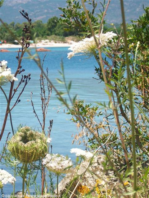 Corsica - il confine tra mare e terra -
