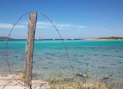 guardando l'isola di Piantarella