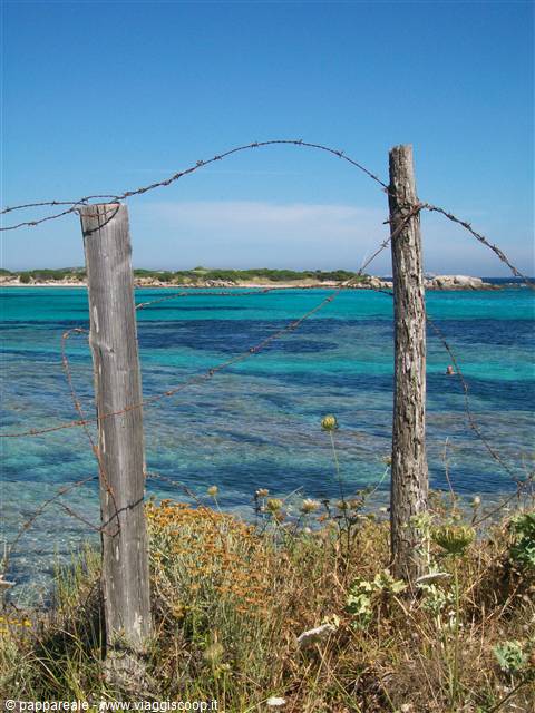 guardando verso l'isola di Piantarella