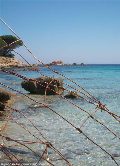 palombaggia sud