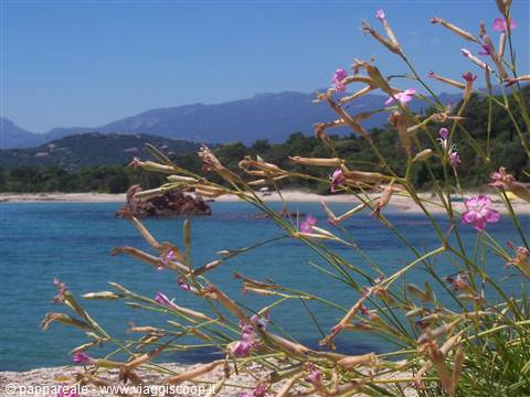 Porto Vecchio - CORSICA