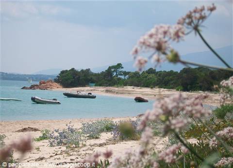 san benedettu a nord di golfo di sogno