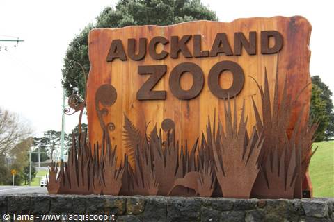 Auckland zoo