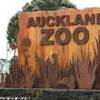 Auckland zoo NUOVA ZELANDA 