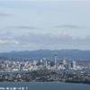 Auckland City NUOVA ZELANDA 
