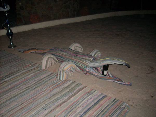 Coccodrillo
