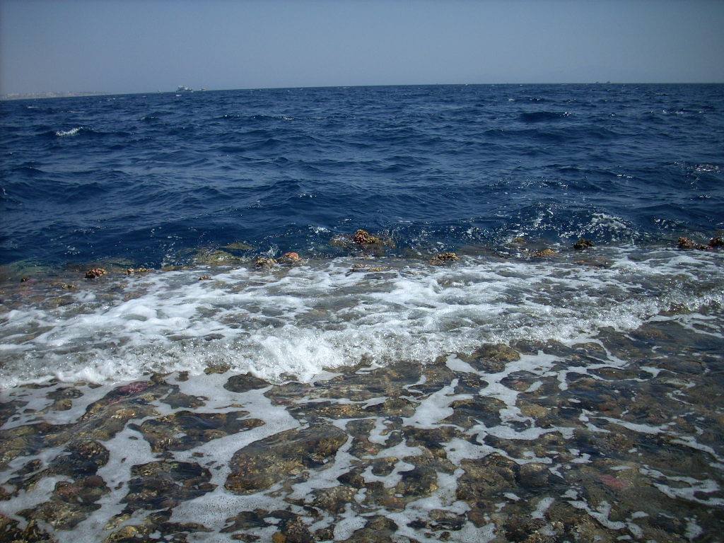 La barriera corallina