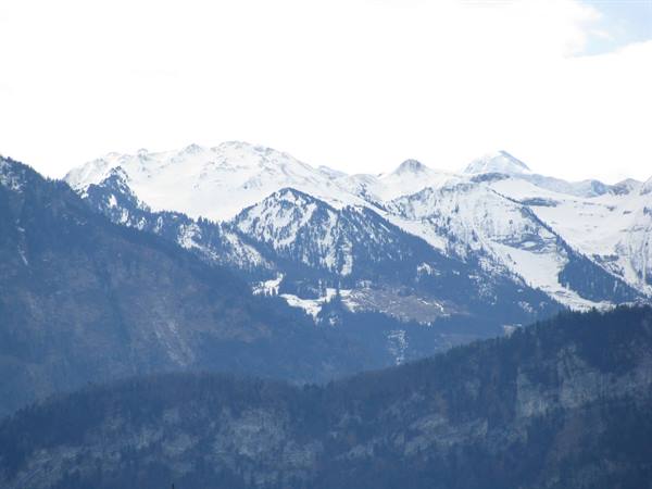 Paesaggio Alpino