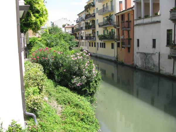 Scorcio