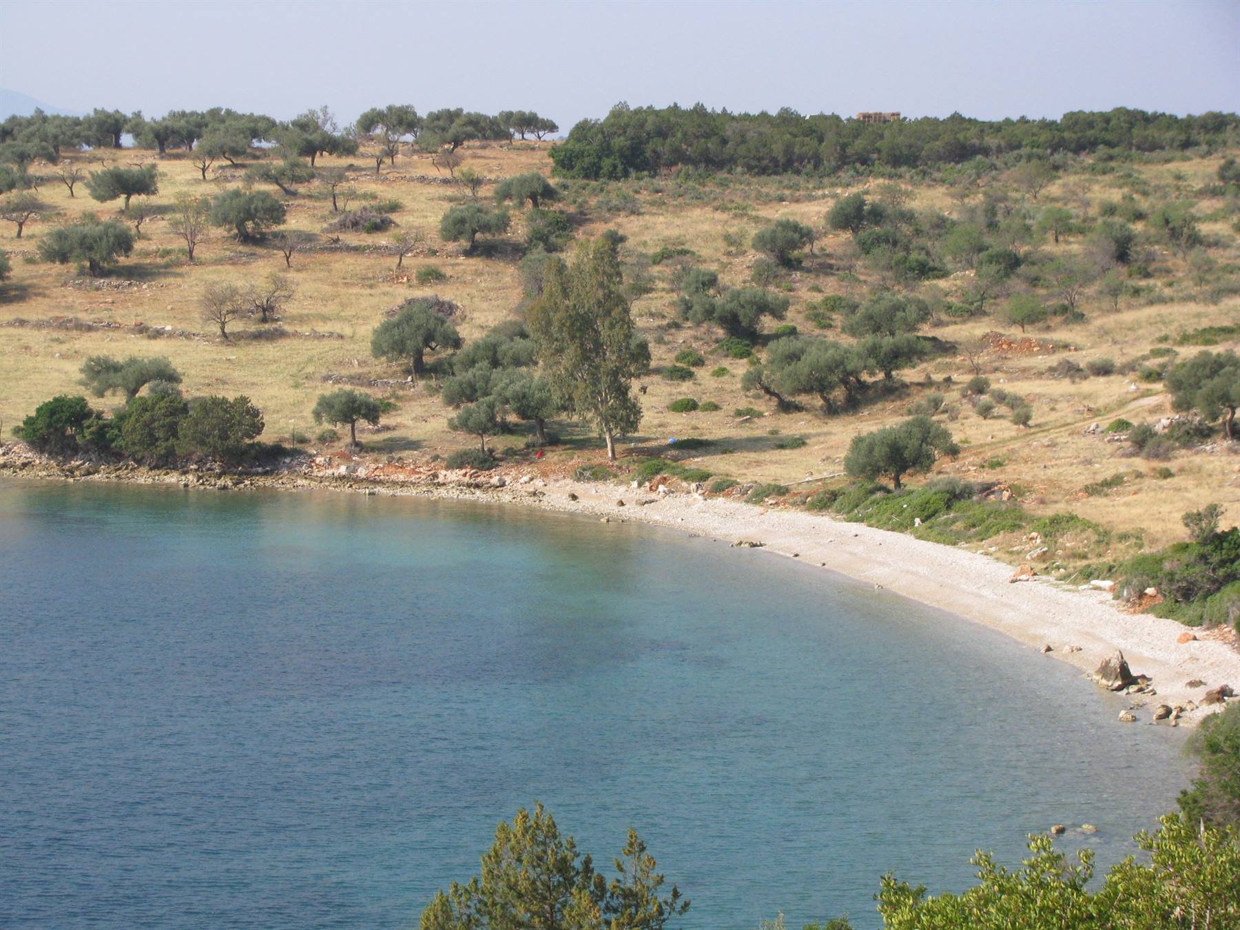 Verso Olympia