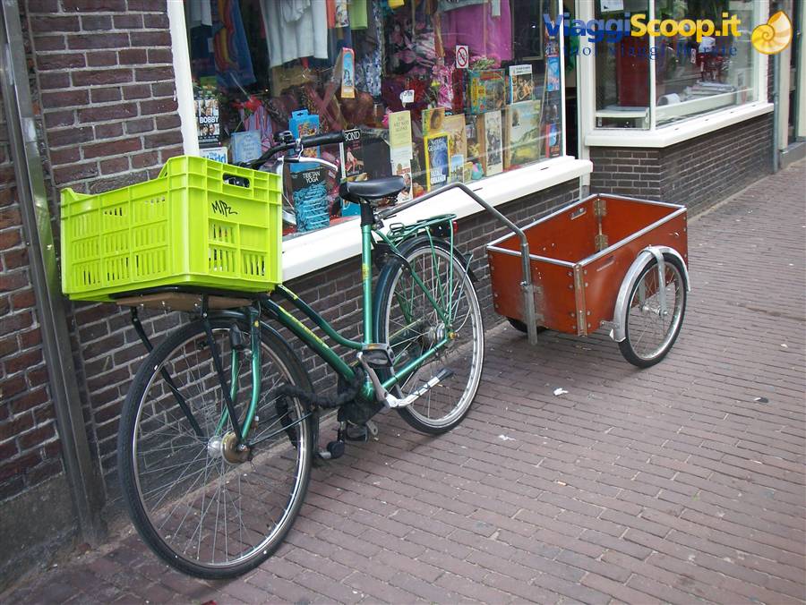 Foto di viaggio in OLANDA