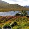 Highlands REGNO UNITO 