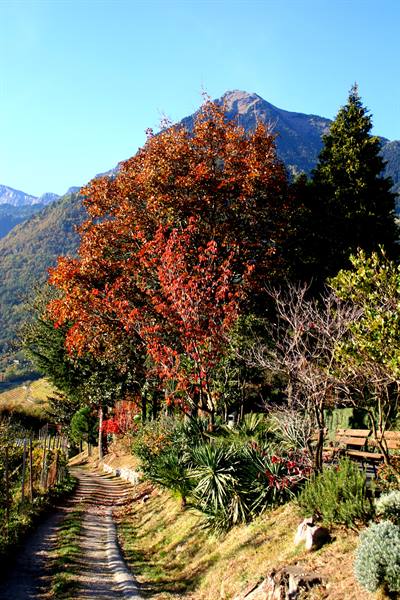 Merano (BZ) - Alto Adige