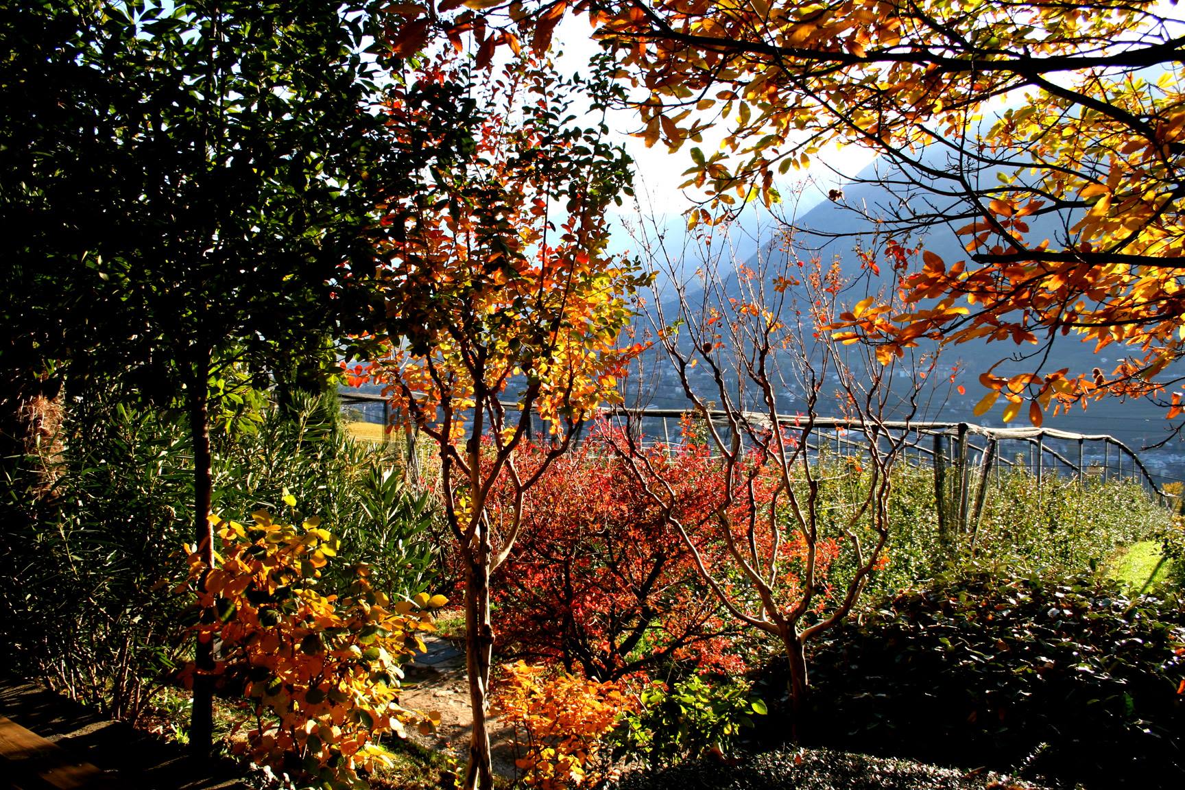 Merano (BZ) - Alto Adige