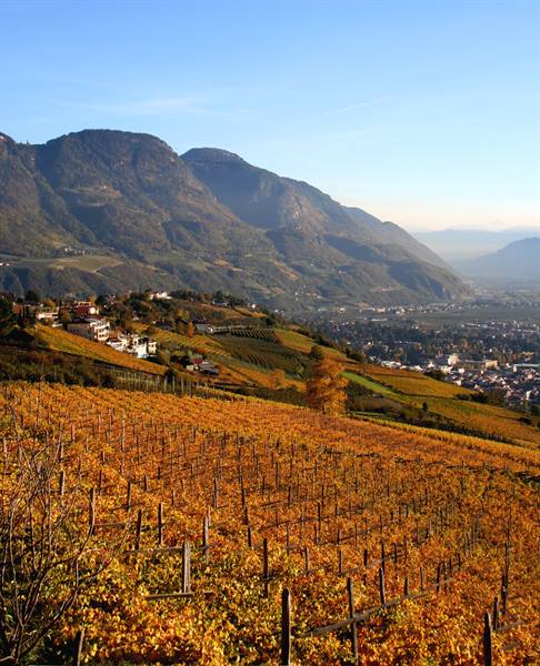 Merano (BZ) - Alto Adige