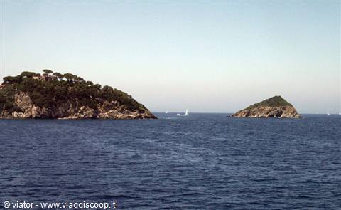 Isola dei Topi