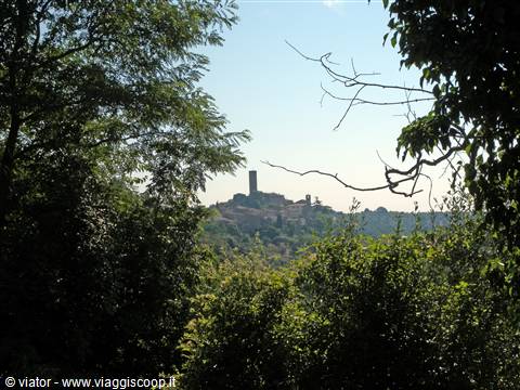 Magliano in Toscana