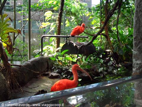 UNIVERSEUM