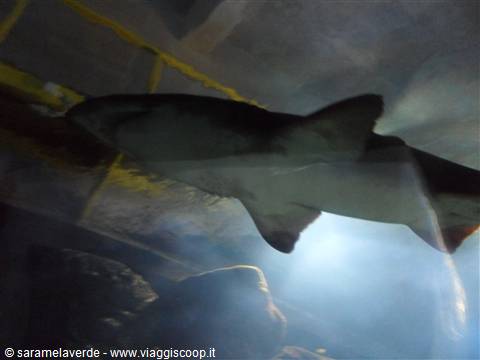 UNIVERSEUM