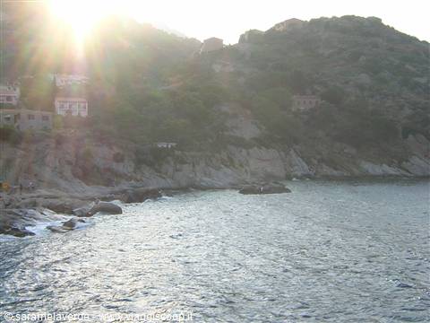 AL DEMINO