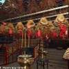 spirali d’incenso che pendono dal soffitto HONG KONG 