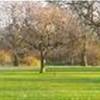St. James Park REGNO UNITO 
